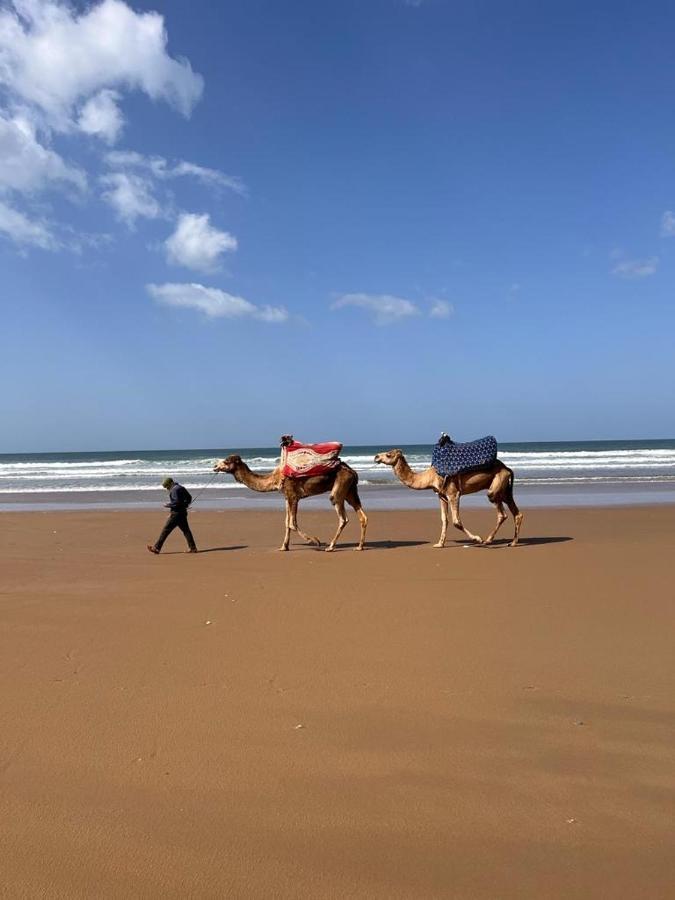 Hostel Dar Surf Taghazout Zewnętrze zdjęcie